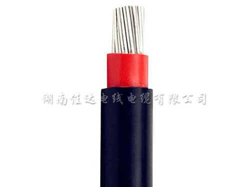 最新午夜福利系列